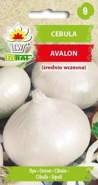 nasiona-cebula-avalon-3g