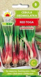 nasiona-cebula-siedmiolatka-red-toga-1g