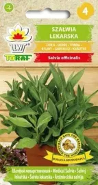 nasiona-szalwia-lekarska-05g