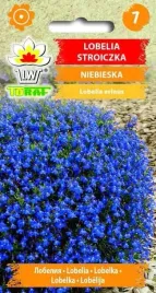 nasiona-lobelia-przyladkowa-niebieska-01g
