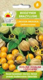 nasiona-rodzynek-brazylijski-02g