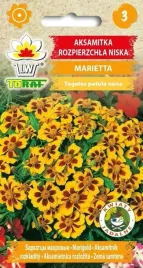 nasiona-aksamitka-rozpierzchla-marietta-1g