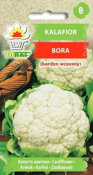 nasiona-kalafior-bora-1g