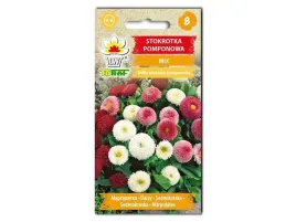nasiona-stokrotka-pomponowa-mieszanka-01g