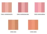 sensai-cheek-blush-4g-ch-04-kou-stan-nowy