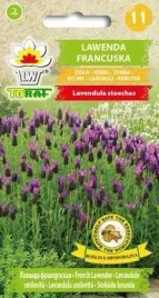 nasiona-lawenda-francuska-01g