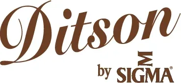 gitara-akustyczna-ditson-d-15-aged