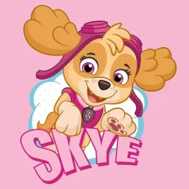 paw-patrol-recznik-drukowany-30x30cm-magic-towel