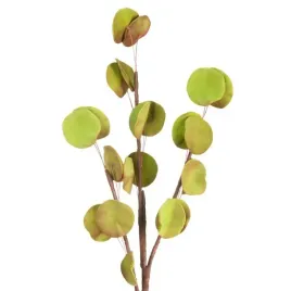 sztuczny-kwiat-dekoracyjny-eukaliptus-flore-zielony-x6