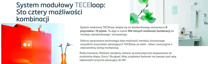 tece-loop-przycisk-do-spluczki-wc-czarny-mat-marka-tece