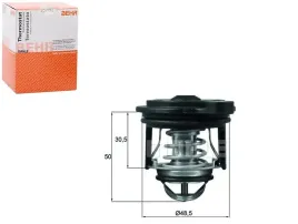 termostat-ford-behr