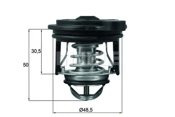 termostat-ford-behr