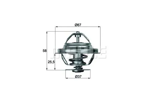 termostat-bmw-behr