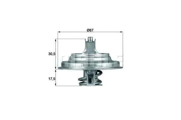 termostat-mercedes-behr