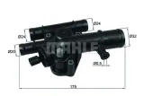 termostat-renault-89c-19dci-behr-stan-nowy