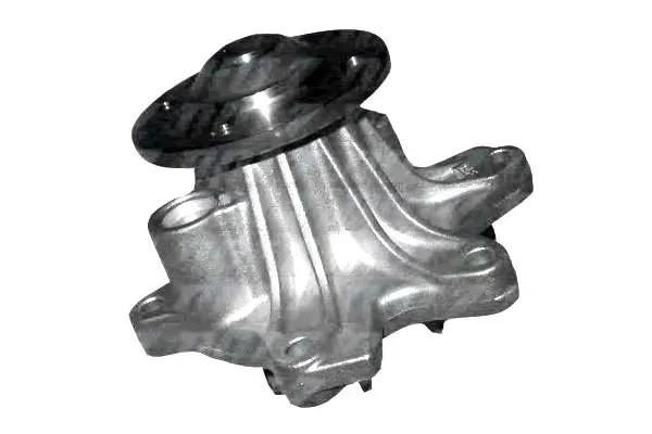 pompa-wody-toyota-dolz