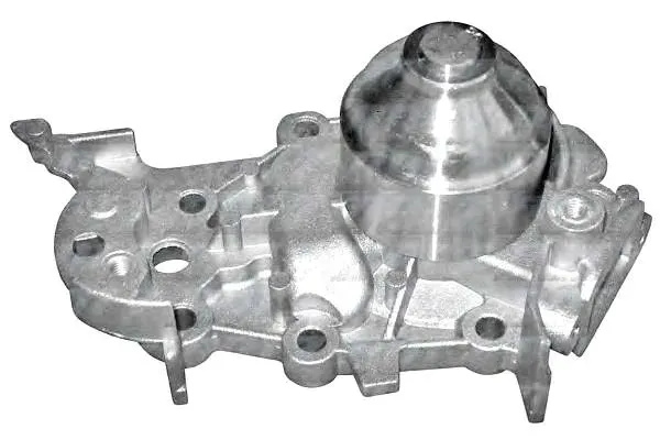 pompa-wody-renault-dolz