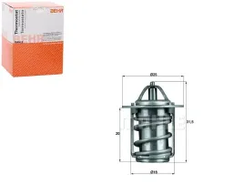 termostat-behr
