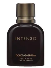 dolce-gabbana-pour-homme-intenso-edp-m-125-ml