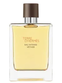 hermes-terre-d-hermes-intense-vetiver-100ml-edp