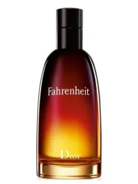 dior-fahrenheit-100ml-edt