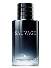 christian-dior-sauvage-100ml-edt