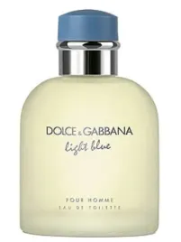dolce-and-gabbana-light-blue-pour-homme-125ml-edt