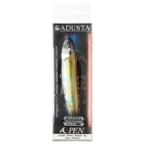 adusta-a-pen-005-oikawa-stan-nowy