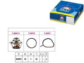 termostat-ford-focus-facet