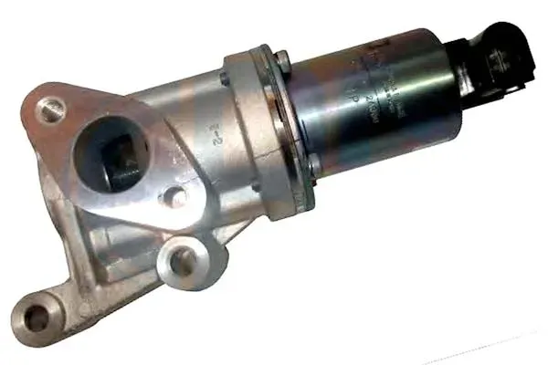 zawor-egr-era