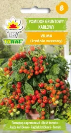 pomidor-vilma-gruntowy-karlowy-na-balkon-toraf-03g