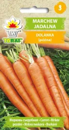 marchew-dolanka-pozna-nasiona-marchwi-toraf