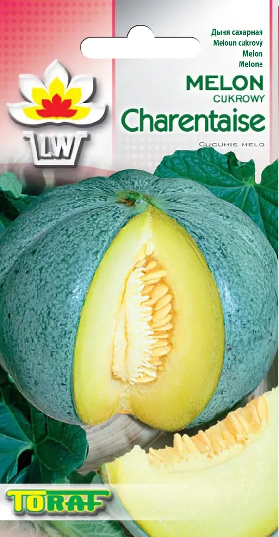 melon-cukrowy-charentaise-slodki-nasiona-toraf