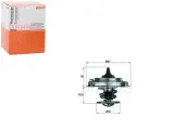 termostat-vw-behr
