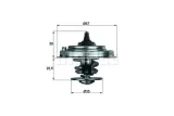 termostat-vw-behr-stan-nowy