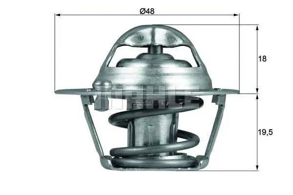 termostat-ford-behr-stan-nowy