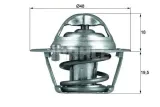 termostat-ford-behr-stan-nowy