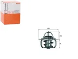 termostat-ford-behr