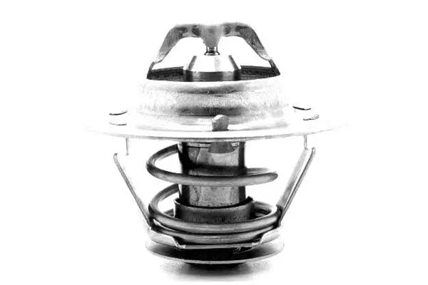 termostat-renault-76c-master-calorstat