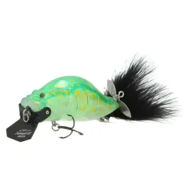 adusta-zacrawl-sc-103-green-glass-frog