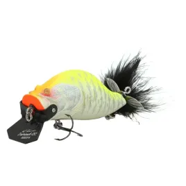 adusta-zacrawl-sc-024-yellow-chart-tiger-bb