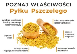 tablica-informacyjna-duza-wlasciwosci-pylku