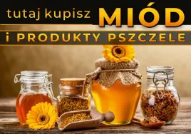 tablica-informacyjna-mala-kwiatki-i-sloiczki