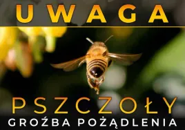 tablica-ostrzegawcza-duza-pszczola-z-tylu
