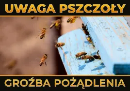 tablica-ostrzegawcza-duza-pszczoly-wylatujace