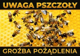 tablica-ostrzegawcza-duza-pszczoly-na-plastrze