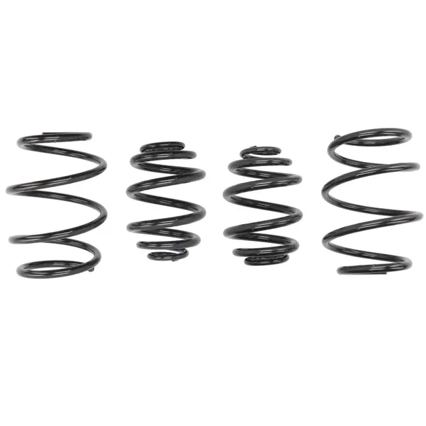sprezyny-eibach-pro-kit-bmw-3-e46-r6-diesel