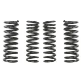 sprezyny-eibach-pro-kit-mb-c-klasse-w202