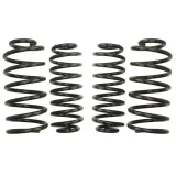 sprezyny-eibach-pro-kit-vw-new-beetle-9c1-1c1