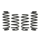 sprezyny-eibach-pro-kit-vw-passat-3co